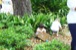 resIMG_20130331_4564.JPG